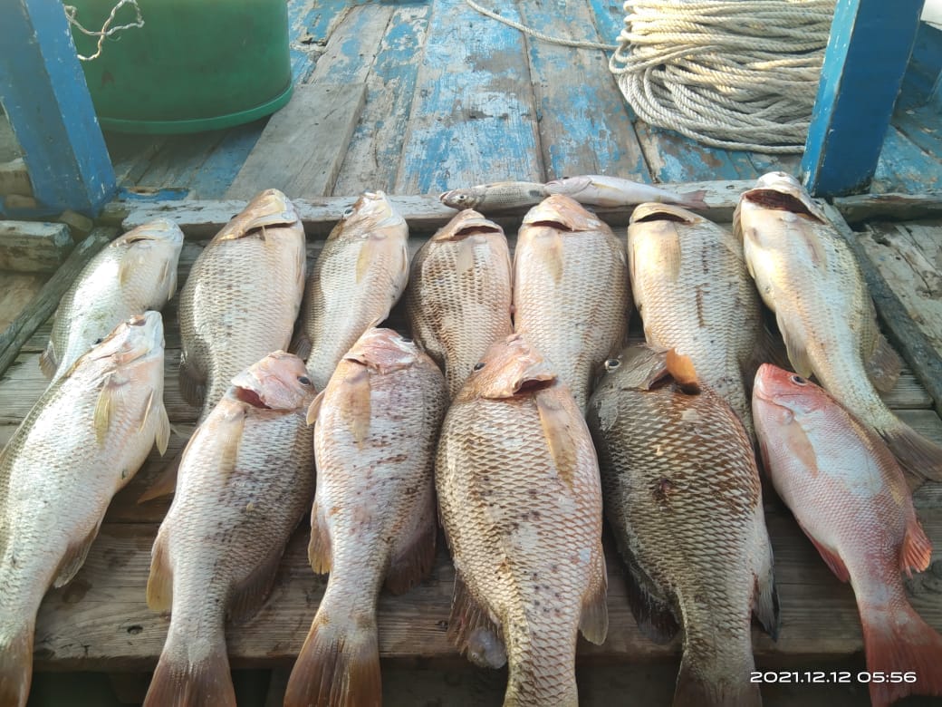 Fishing Trip Karang Dalam